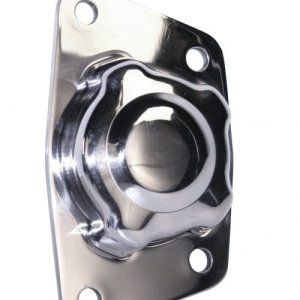 Torsion End Plate, Stainless, Swing Axle, Pair